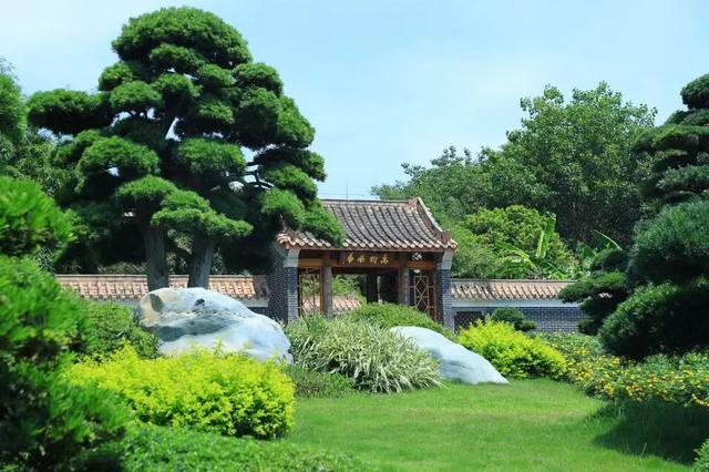 重阳正当时！免门票打卡园博园，这儿的秋景和古风建筑也太配了！
