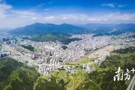 特产变名片，从“连平牌”到“国字号”丨揭秘连平“致富果”①图片