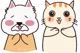 最新！厦门居民平均期望寿命公布！图片