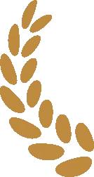 非遗让皋兰山民宿有了文化魂