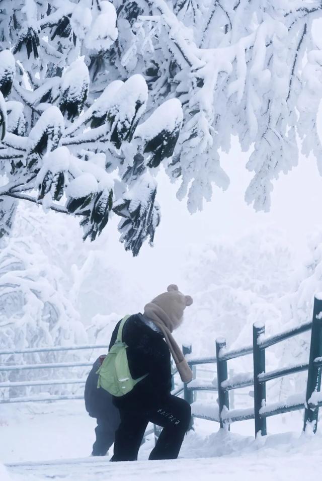 等雪来！瓦屋山绝望坡雪后挑战 UP + 趣味 UP，徒步党速冲！