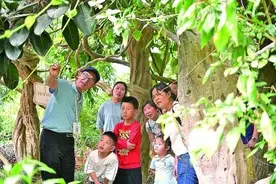 科普人才评职称，“新通道”这样打开图片