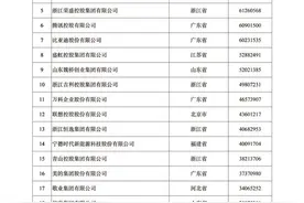 中国民营企业500强公布！河南13家企业上榜 | 名单图片