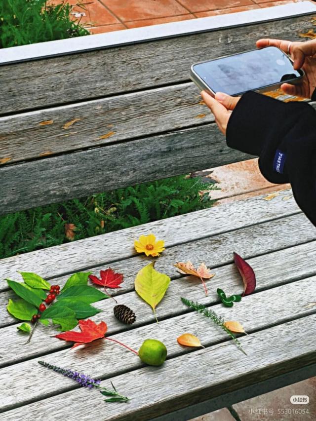 在甘肃，这些秋天仪式感拉满的事，你做了几件？