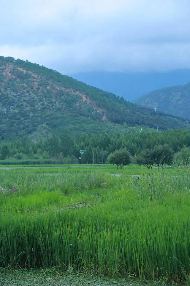 【五彩凉山•夏季清凉】人这一辈子，一定要去一次最“火”的节日！