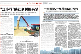 “江小花”映红乡村振兴梦丨街镇向“新”力图片