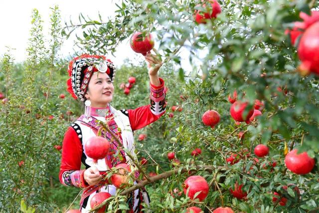 弥勒这里值得一去！好吃、好玩、好看…