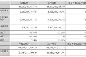 去年同期盈45亿今年亏30亿  TCL中环上半年净利同比陡降167%图片