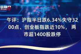 午评：沪指半日跌6.34%失守3200点、创业板指跌近10%， 两市超1400股跌停视频封面
