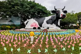 GO！GO！GO！出发咯！这个五一来这里玩，不堵→图片