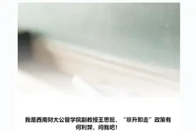 为何“非升即走”被指水土不服？源于终身教职制的它有何利弊？图片