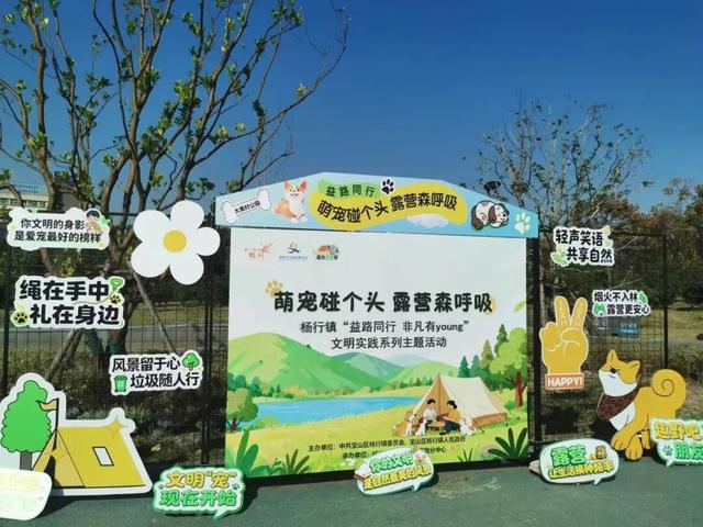萌宠赛、活力市集、阳光草坪……宝山杨行露营节，解锁文明养宠新时尚