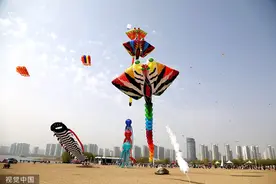 临沂：春光正好 各式风筝飞上天空图片
