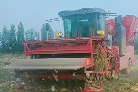 农业机械助秋收 村集体增收添活力图片