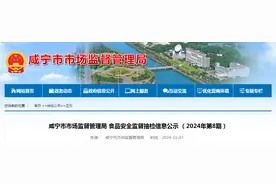 湖北省咸宁市市场监督管理局食品安全监督抽检信息公示（2024年第8期）图片
