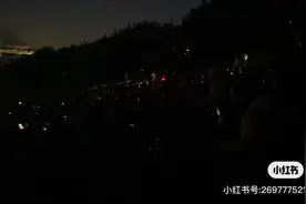 疯了！大大大大大批深圳人凌晨做这事，网友：下班后直接去了图片