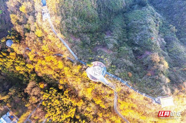 【每日一图@湖南】周末去哪儿？漫步靖州飞山云雾仙境，收藏苗侗冬日浪漫