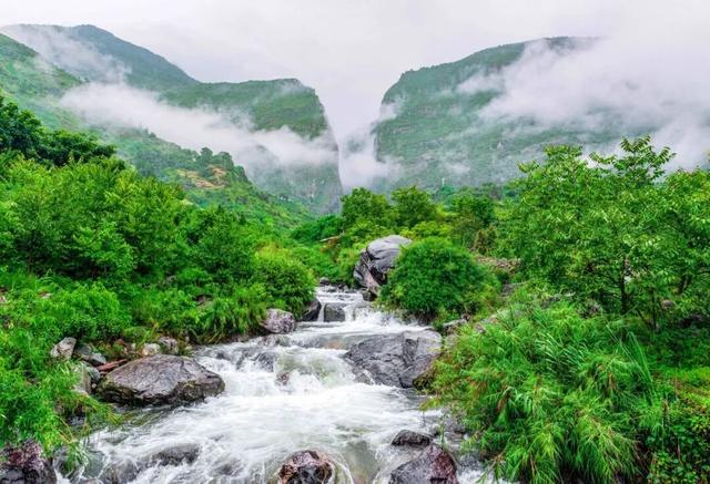 漾濞是“世界核桃起源地”！有五个维度可为证……