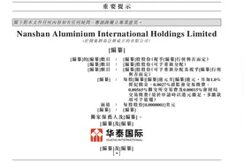 南山铝业子公司将赴港IPO图片
