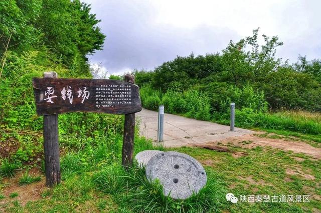躲进22℃的商洛，5条宝藏线路带你清凉一“夏”→