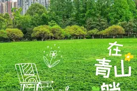 +2！青山共享绿地上新，全在家门口图片