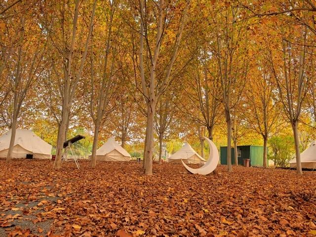 黄河入鲁第一县“听涛”记 | 万里同心，共护黄河