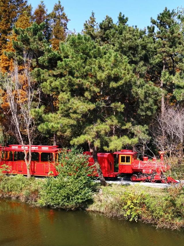 这片焦糖色的“童话森林”，美得藏不住了！