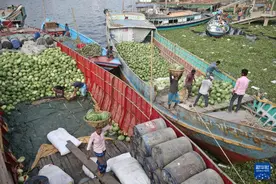 孟加拉国：迎来“西瓜季”图片