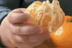 聊一聊：你最爱吃哪种秋季常见水果图片