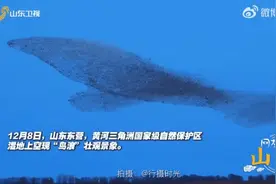奇观！山东一地天空出现“巨鲸”！网友：太震撼，有了鲲鹏的画面感图片