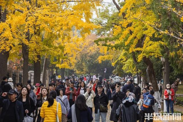 青岛八大关，乌泱泱的人为一件事而来！一款“魔法帽”火了！现场照片→