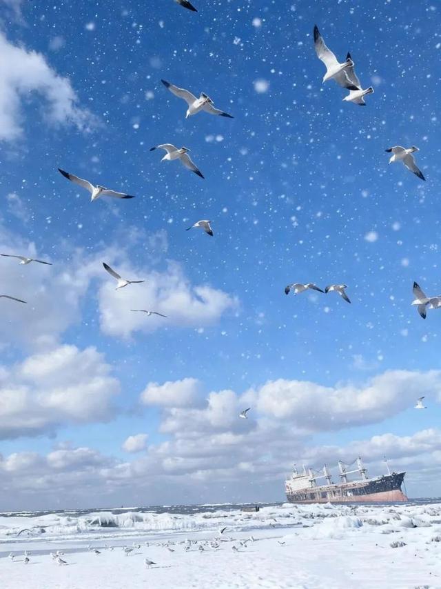 去什么北海道，冬日里的威海不是“平替”，是天花板！