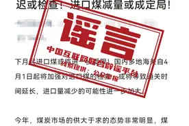 海关将对进口煤炭实施延迟检查？辟谣图片