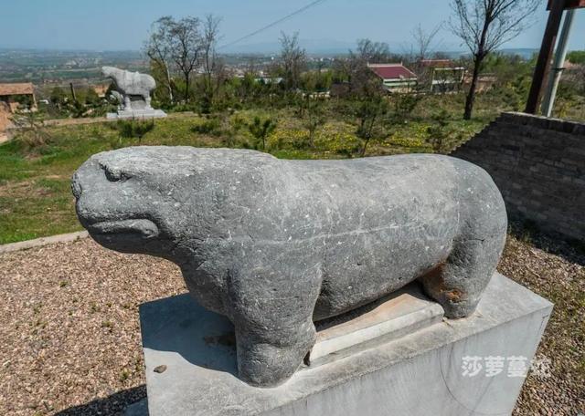 唐陵西线丨乾县-礼泉 乾崇靖建昭陵（唐代露天石雕艺术博物馆）（9/30-10/4）