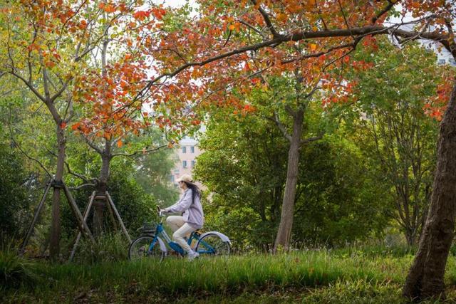 一大波美图袭来！长宁赏秋秘境藏不住啦～