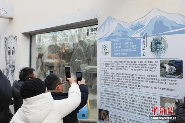 参与中国·西宁旅游电视周活动嘉宾感受高原古城魅力