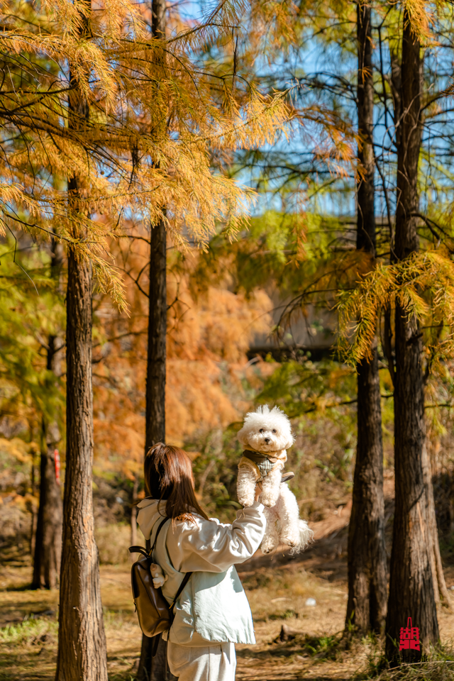 抓住晴天尾巴，徒步青龙山！