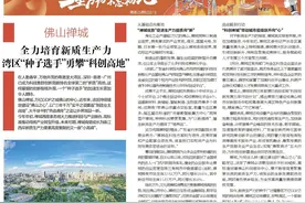 入局“新质生产力”培育，为什么说禅城是湾区“种子选手”图片