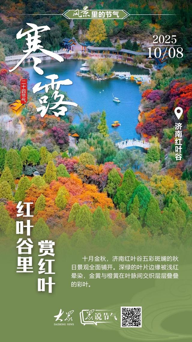 今日寒露