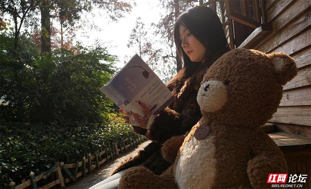 周末去哪？郴州北湖公园的红杉林已进入高光时刻