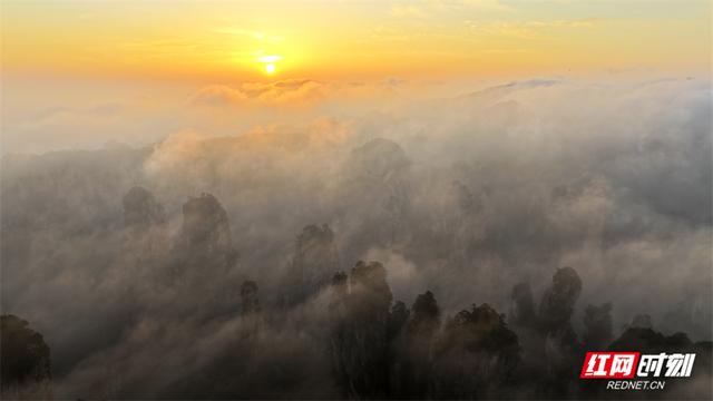 张家界黄石寨雨后现日出云海 仙境画卷醉游人