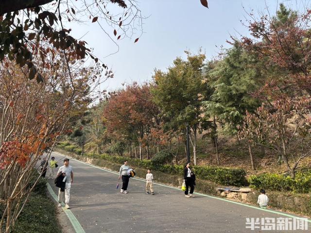 浮山南麓，藏着青岛最美冬日