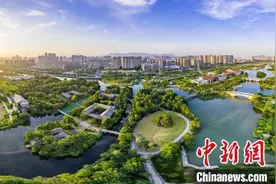解码温州城市“绿肾”：三垟湿地保护与建设有何内涵？图片
