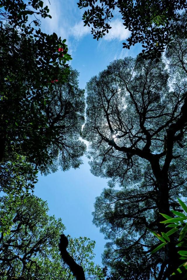 山顶观星，山下玩水，解锁华南之巅的多样体验！