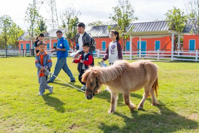 森林雪国今日开业！户外玩真雪就到高明！