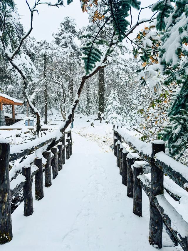 秋日雪景 | 雪后的螺髻山到底有多美?快来看!