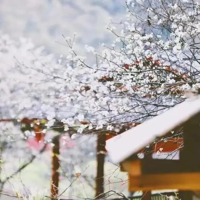 邀您打卡东起乡 解锁秋日限定山水画卷