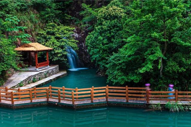 多个景区免票！半价！来金华看“浙BA”，文旅大礼包等你拿
