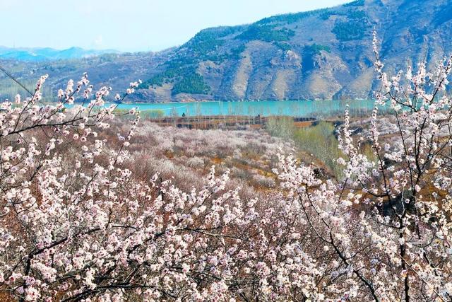 朝阳 浪漫来袭，邂逅“开往春天的列车”