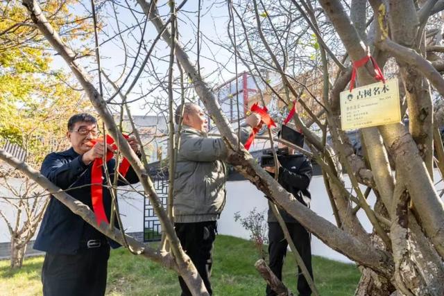 宜兴→眉山，“东坡海棠”回归故里！